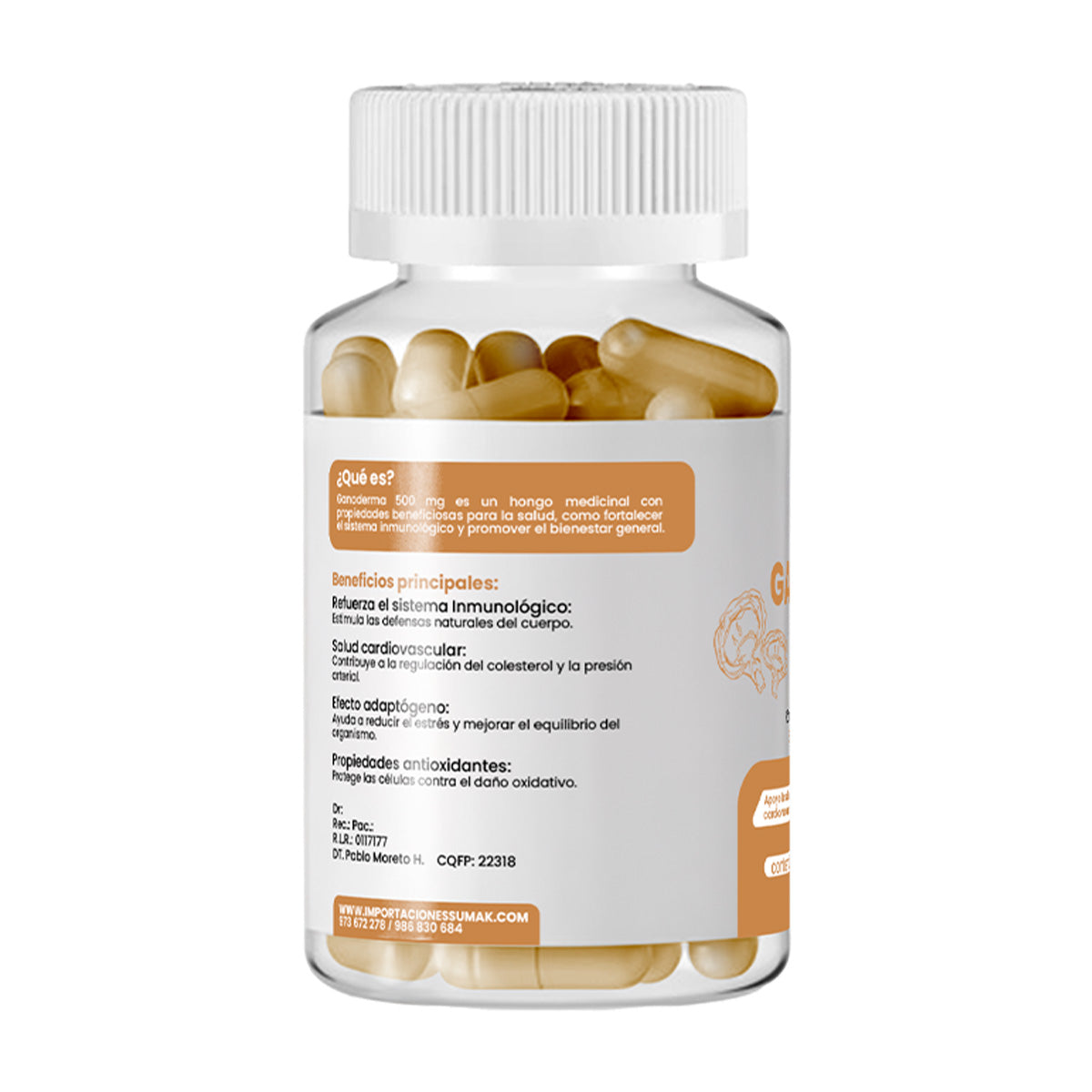 GANODERMA 500 MG X CAP PLUS+ X 100 CAP