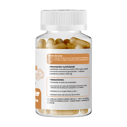 GANODERMA 500 MG X CAP PLUS+ X 100 CAP