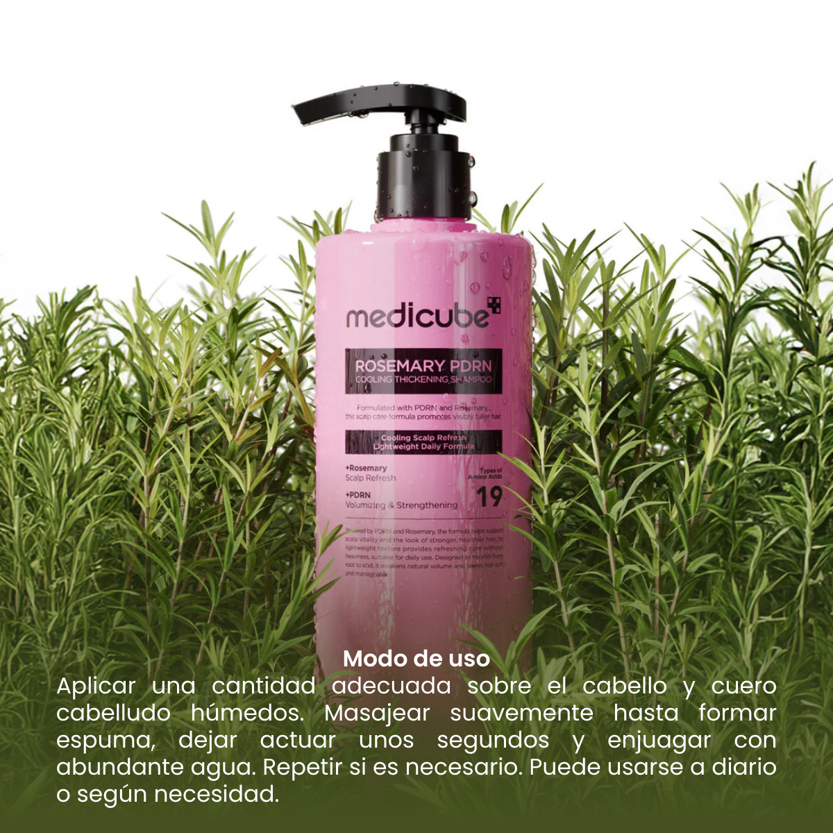 PREVENTA - MEDICUBE Rosemary PDRN Cooling Thickening Shampoo 400ml