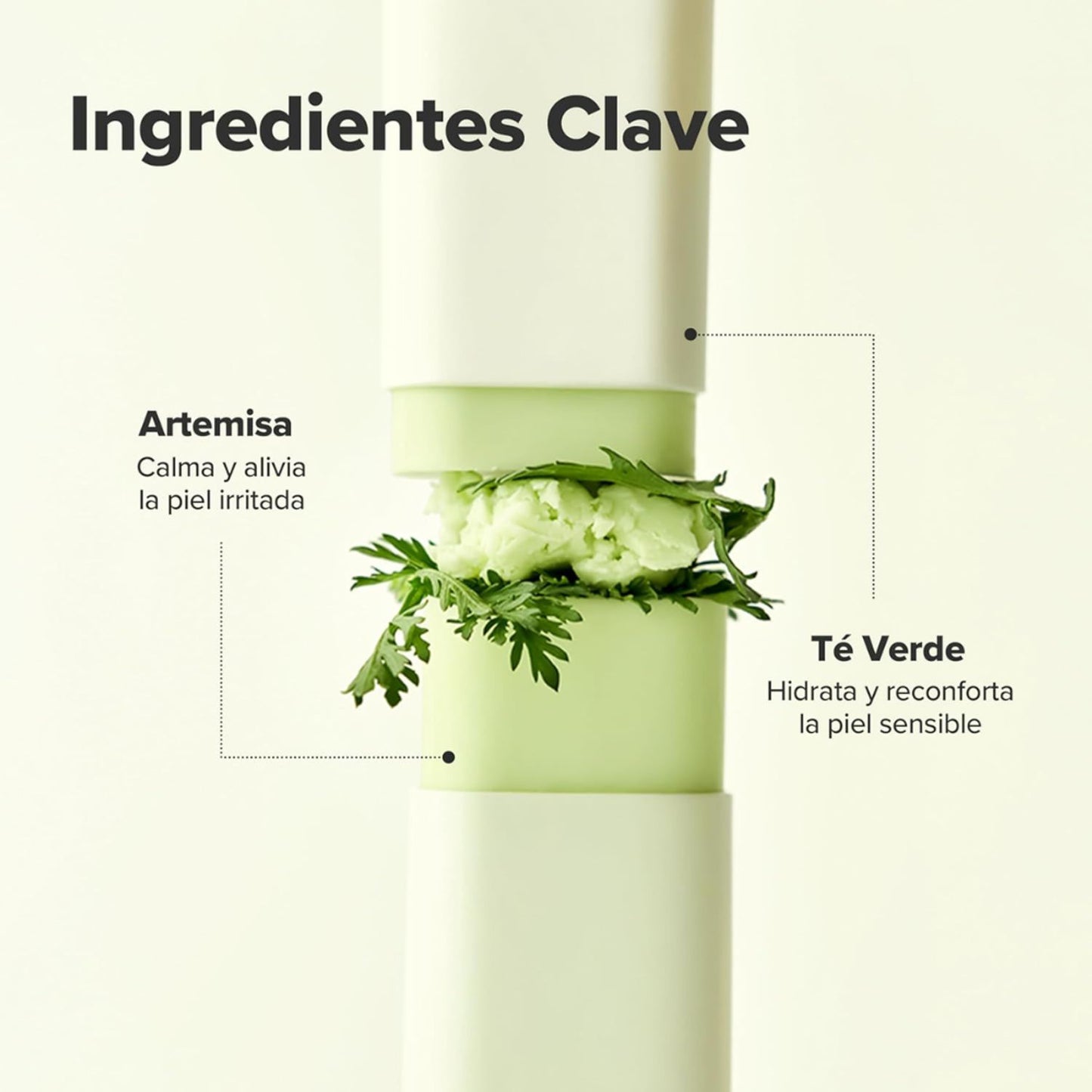PREVENTA - Beauty of Joseon Matte Sun Stick: Mugwort + Camellia SPF50+ PA++++ 18g